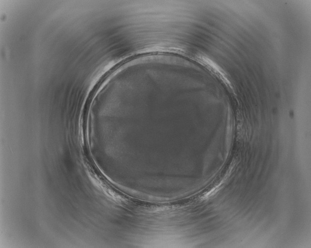 X0000070250892200606301623