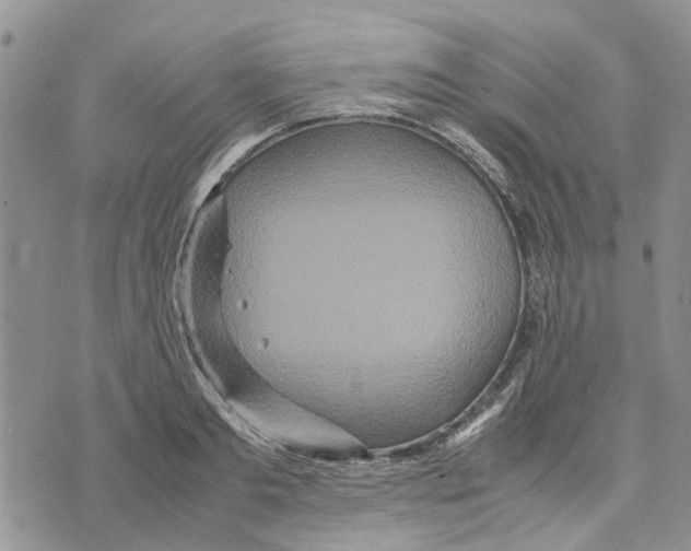 X0000070250893200606301623