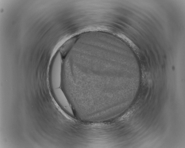 X0000070250894200606301623