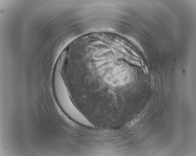 X0000070250895200606301623