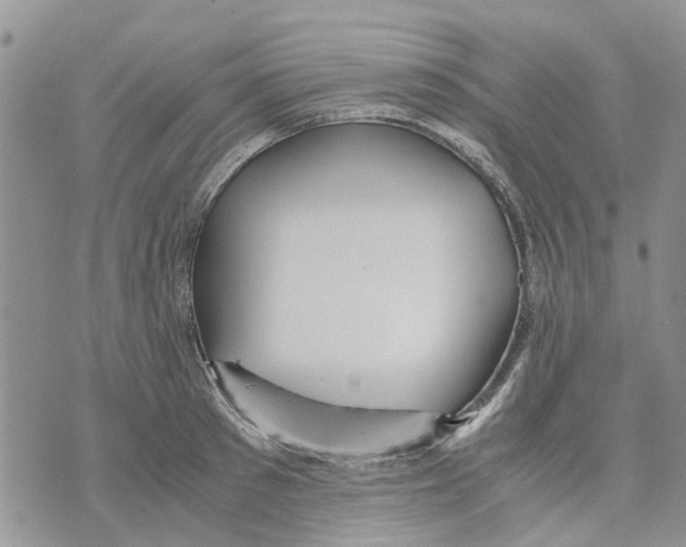 X0000070250897200606301623