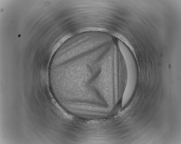 X0000070250898200606301623