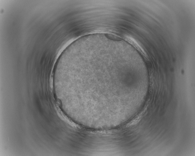 X0000070250900200606301623