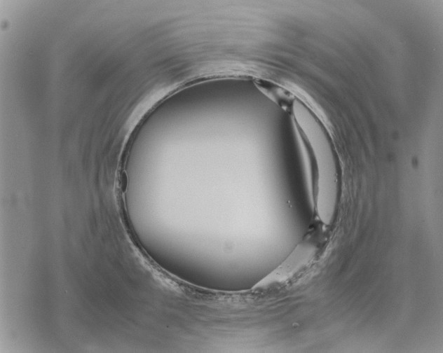 X0000070250901200606301623