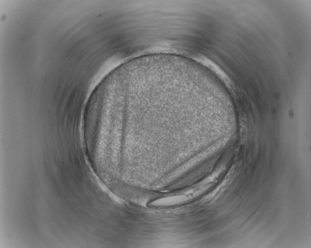 X0000070250902200606301623