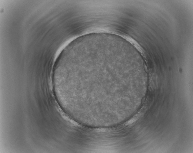 X0000070250904200606301623