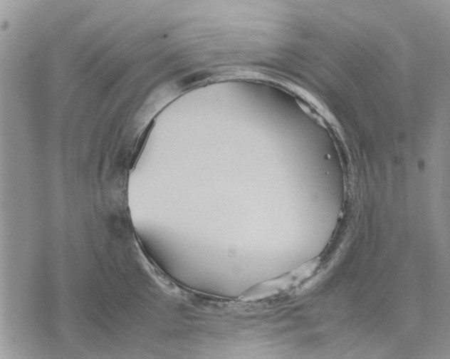 X0000070250905200606301623