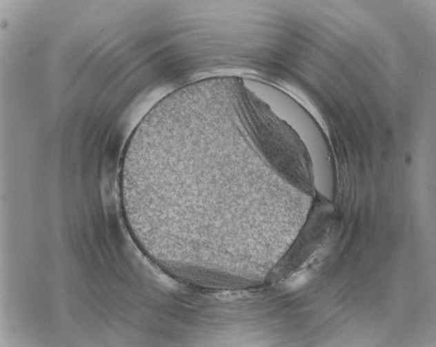 X0000070250906200606301623