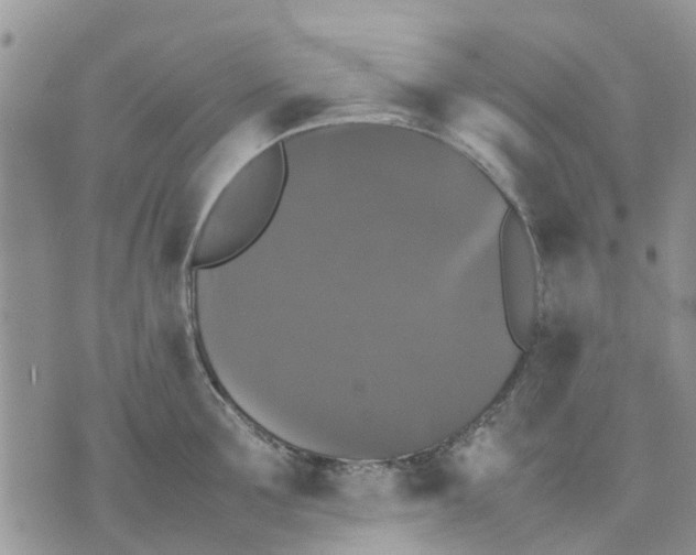 X0000070250907200606301623