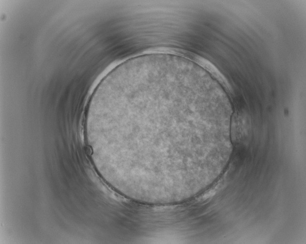 X0000070250908200606301623