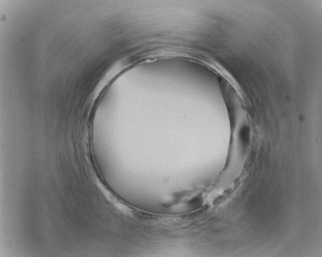 X0000070250909200606301623