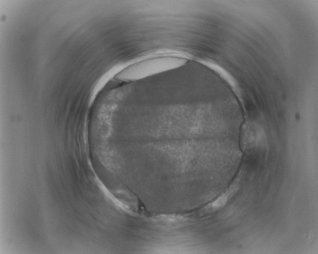 X0000070250910200606301623