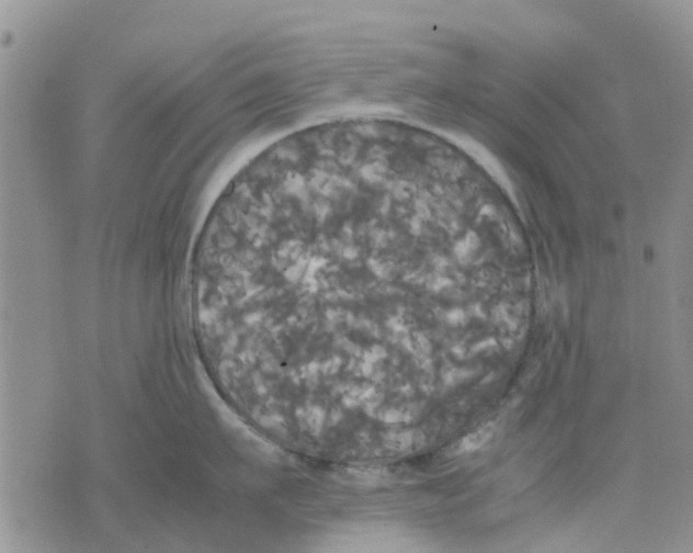 X0000070250911200606301622