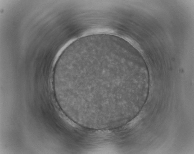 X0000070250912200606301622