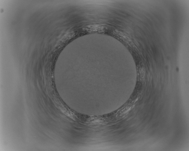 X0000070250913200606301622