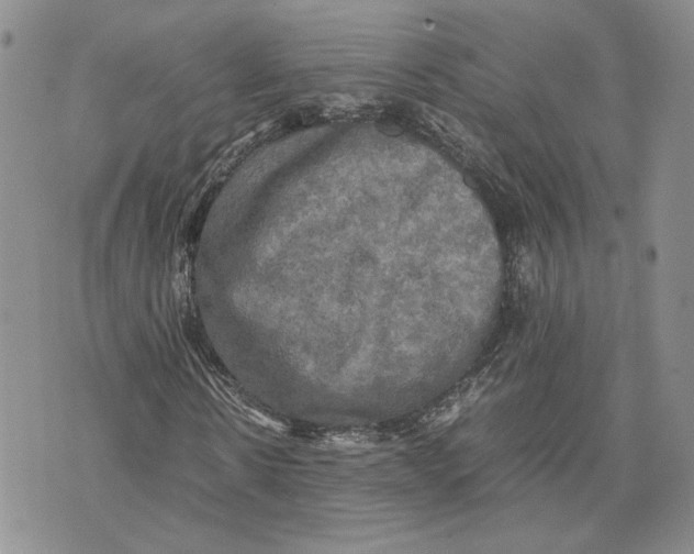 X0000070250914200606301622