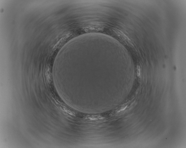 X0000070250915200606301622