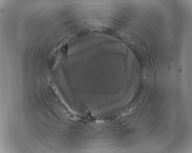 X0000070250916200606301622