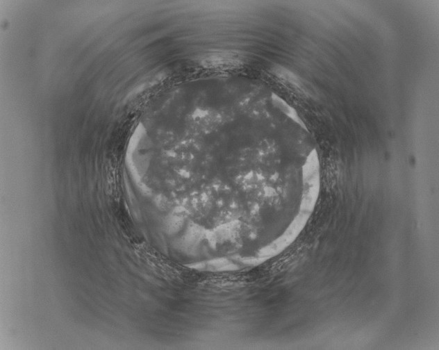 X0000070250917200606301622