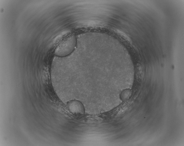 X0000070250918200606301622