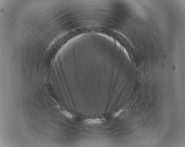 X0000070250919200606301622