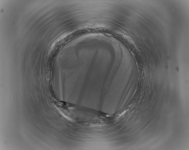 X0000070250920200606301622