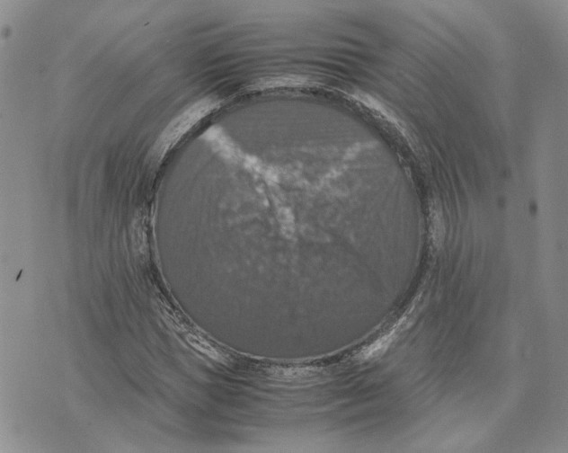 X0000070250921200606301622