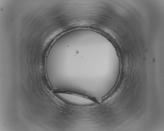 X0000070250922200606301622