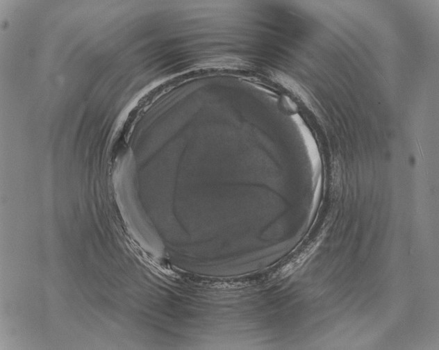 X0000070250923200606301622