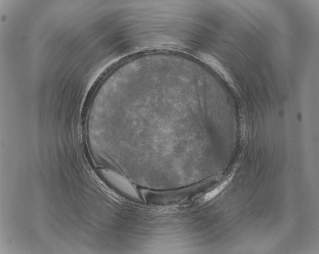 X0000070250924200606301622