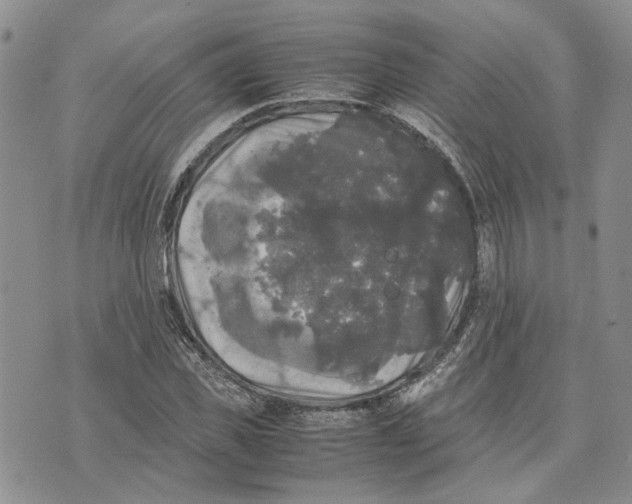 X0000070250925200606301622