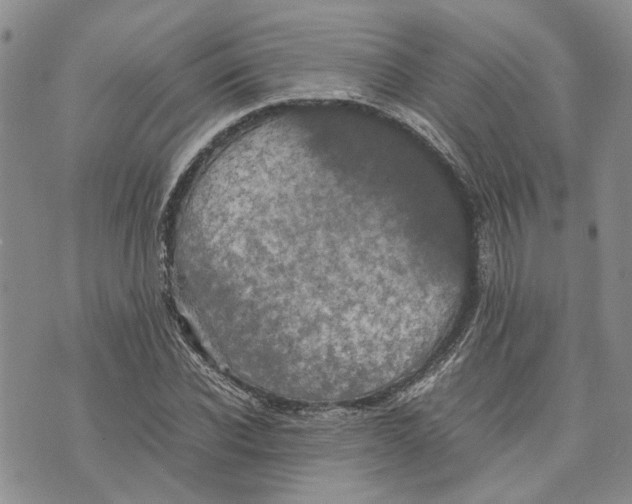 X0000070250926200606301622