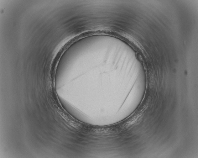 X0000070250927200606301622