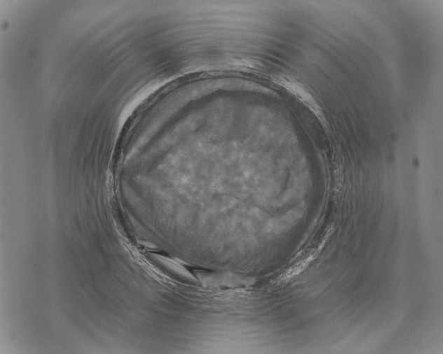 X0000070250928200606301622