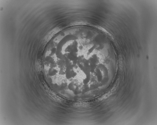 X0000070250929200606301622