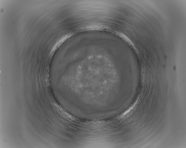 X0000070250930200606301622