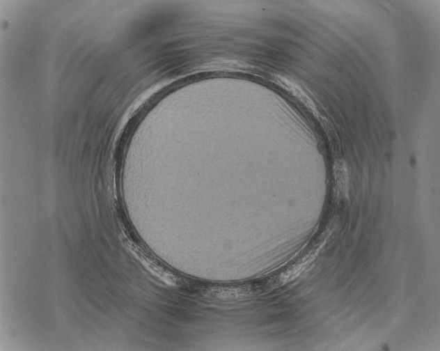 X0000070250931200606301622