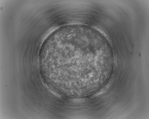 X0000070250933200606301622