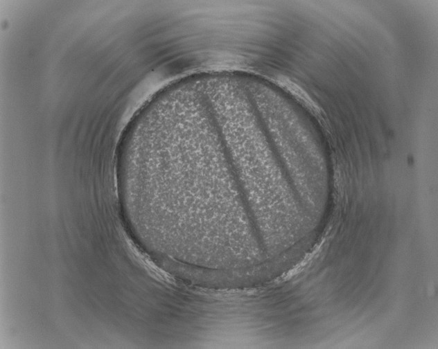 X0000070250934200606301622