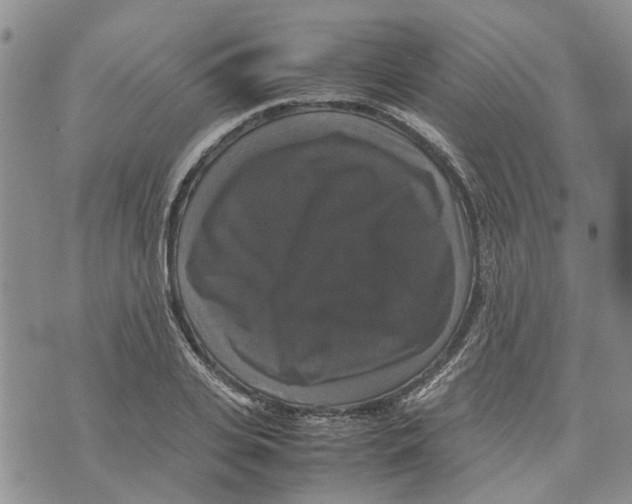 X0000070250935200606301622