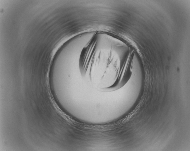 X0000070250936200606301622