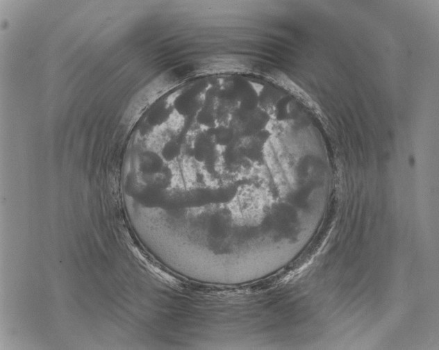 X0000070250937200606301622