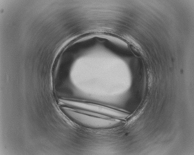 X0000070250940200606301622