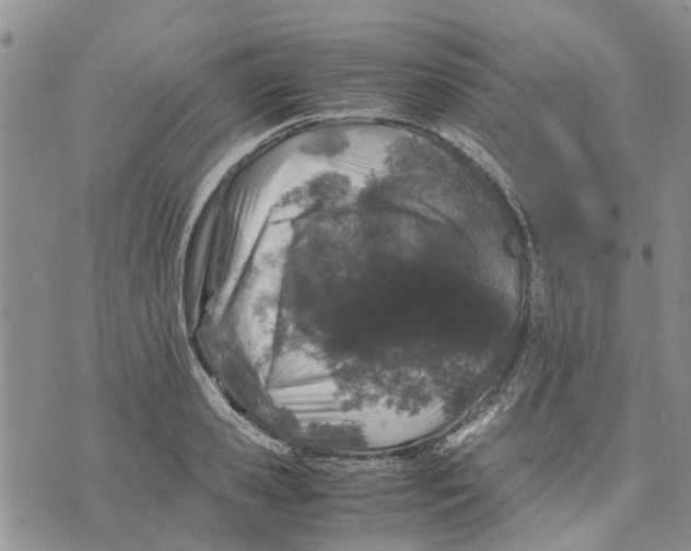 X0000070250941200606301622