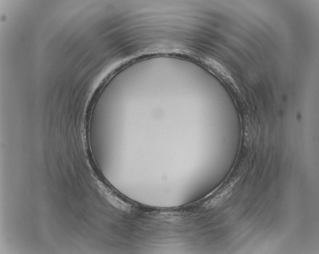 X0000070250942200606301622