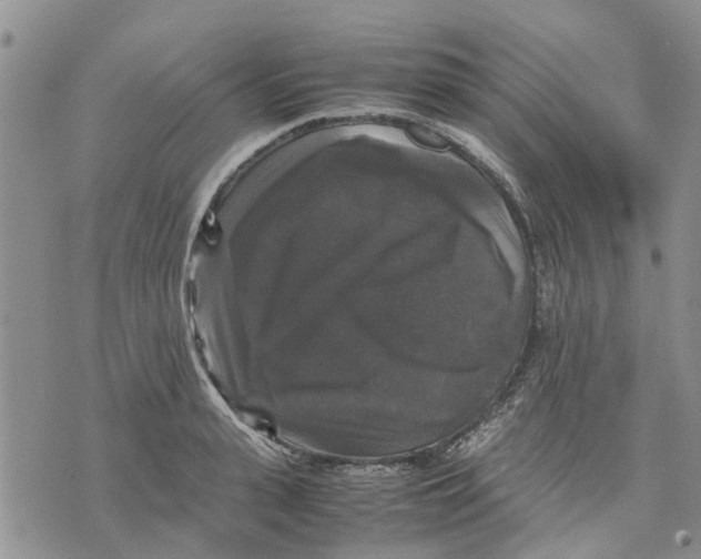 X0000070250943200606301622