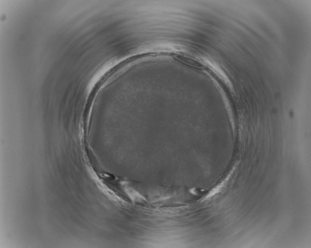 X0000070250944200606301622