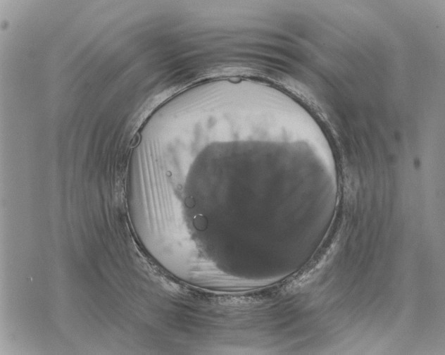 X0000070250945200606301622