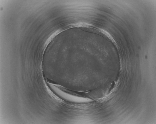 X0000070250946200606301622