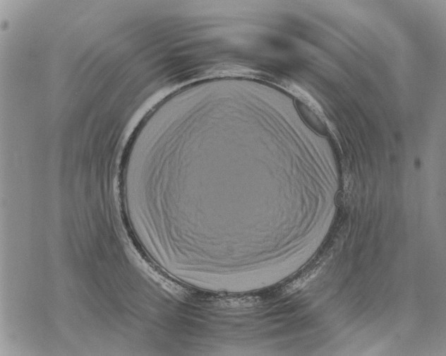 X0000070250947200606301622